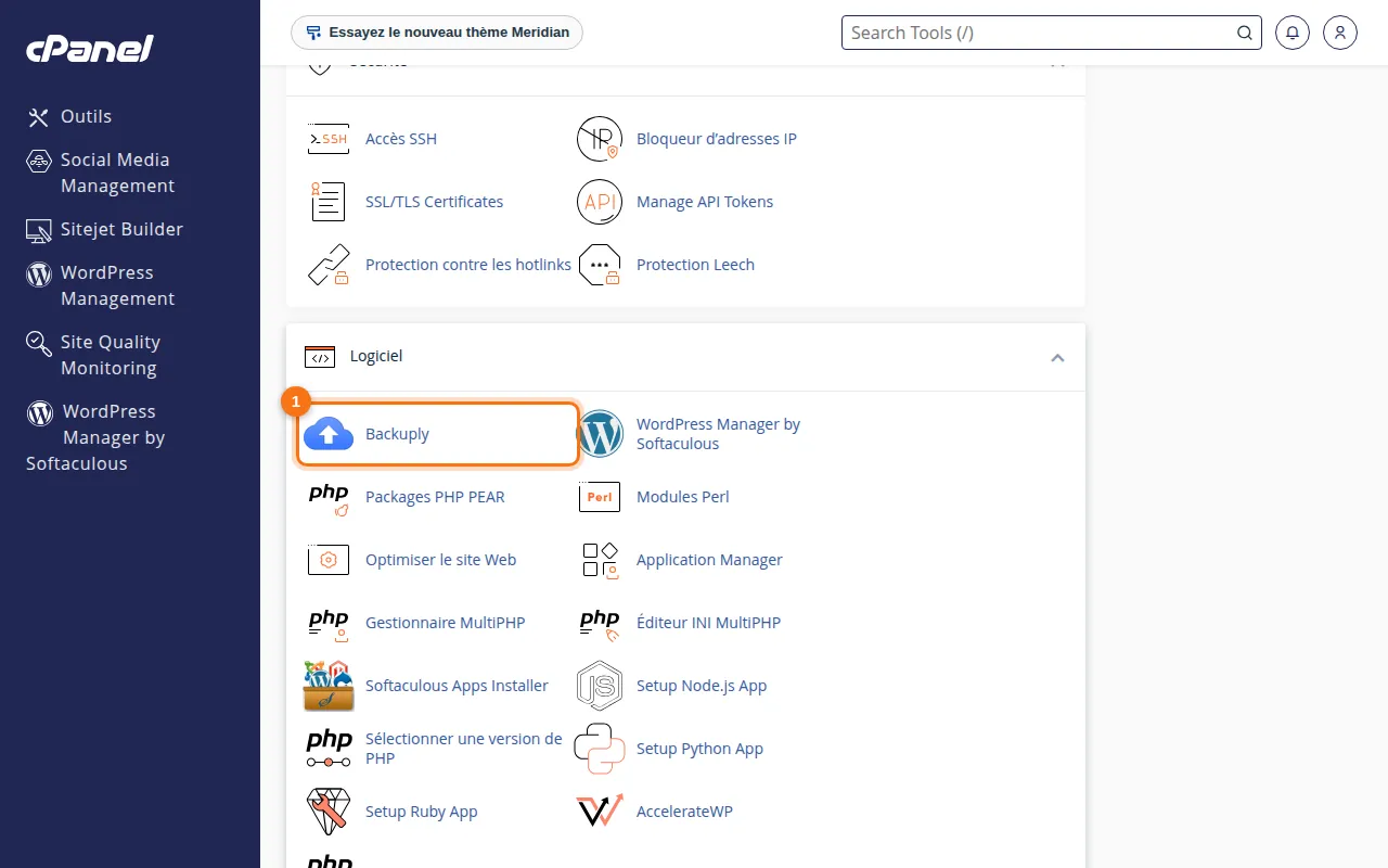 Emplacement de l'outil Backuply dans cPanel
