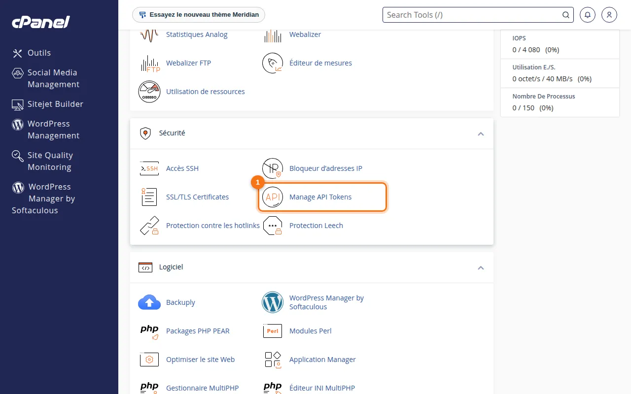 Emplacement de l'outil Manage API Tokens dans cPanel