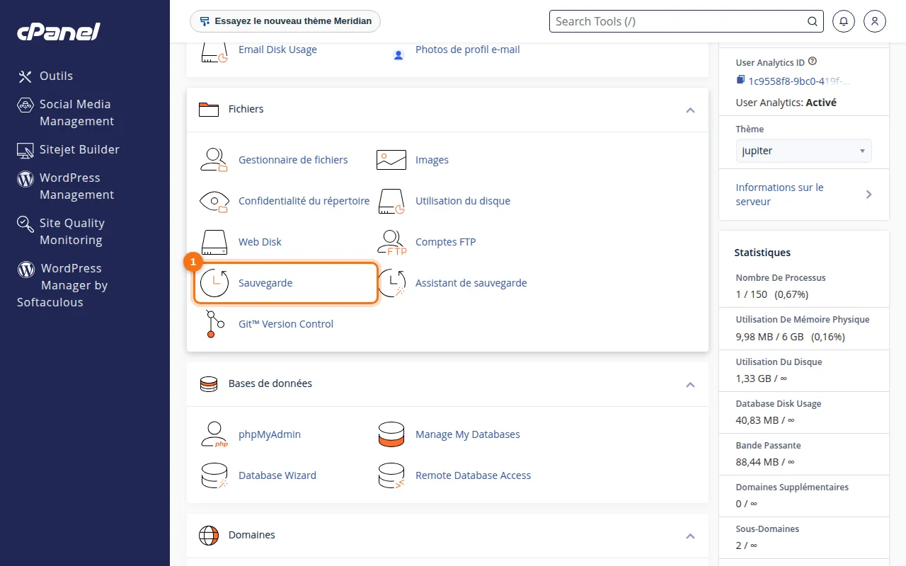 Emplacement de l'outil Sauvegarde dans cPanel