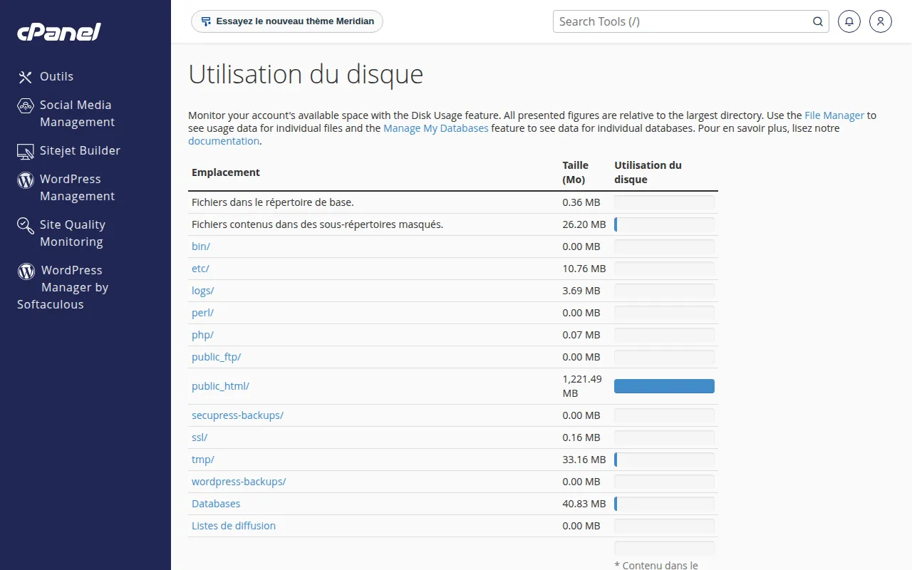 Interface de l'outil Utilisation du disque dans cPanel