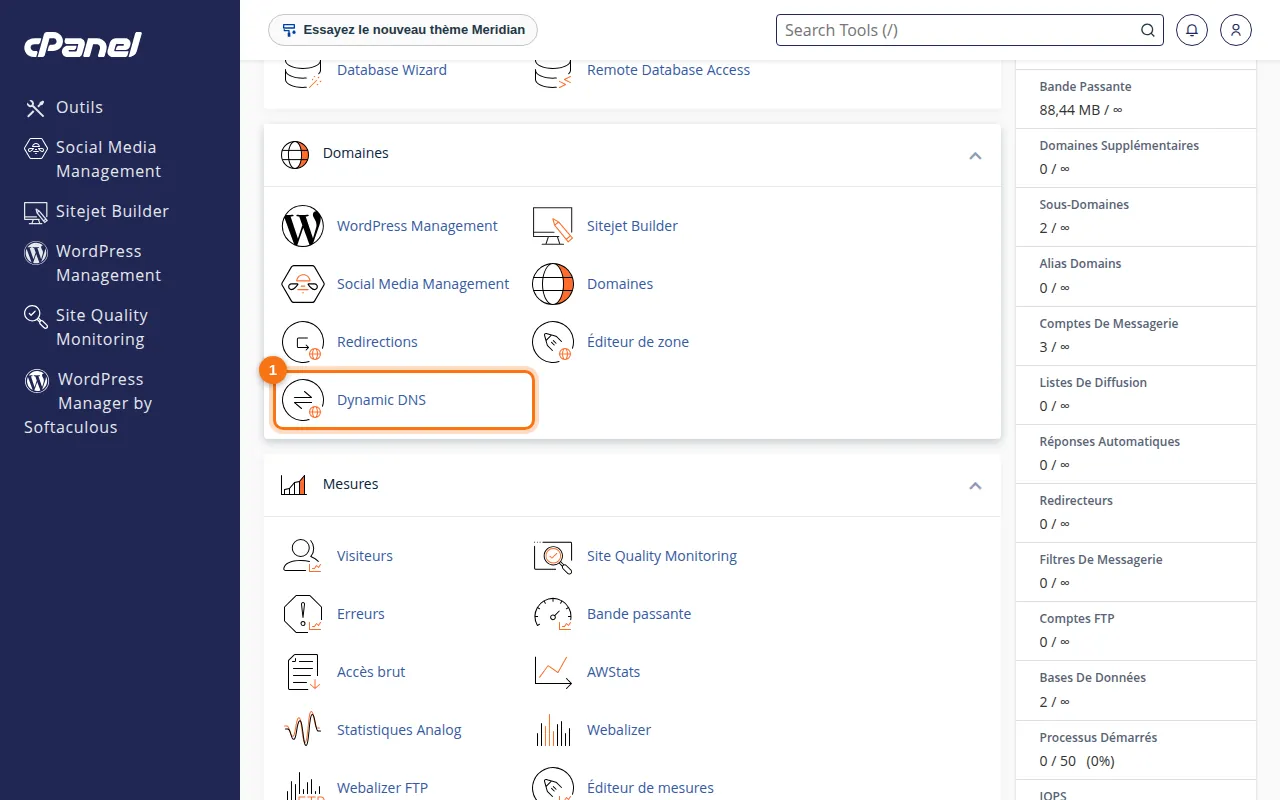 Emplacement de l'outil Dynamic DNS dans cPanel