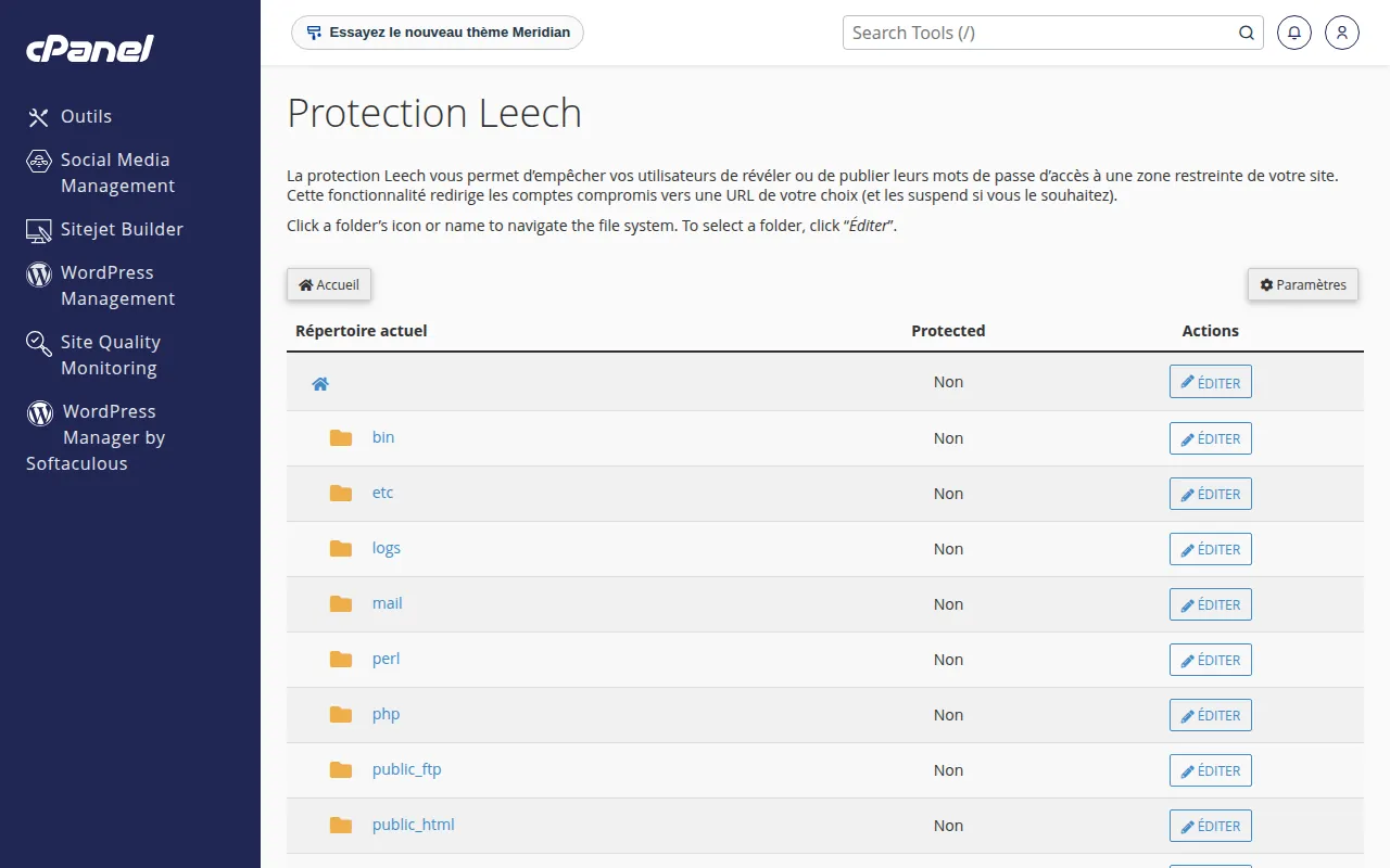 Interface de l'outil Protection Leech dans cPanel