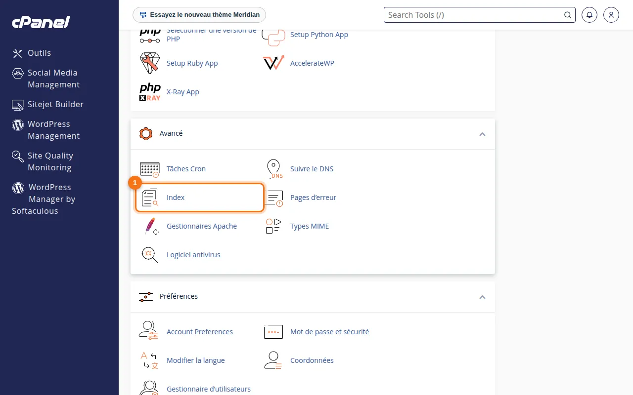Emplacement de l'outil Index dans cPanel