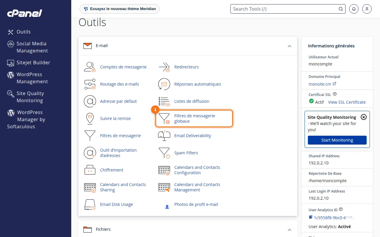 Emplacement de l'outil Filtres de messagerie globaux dans cPanel