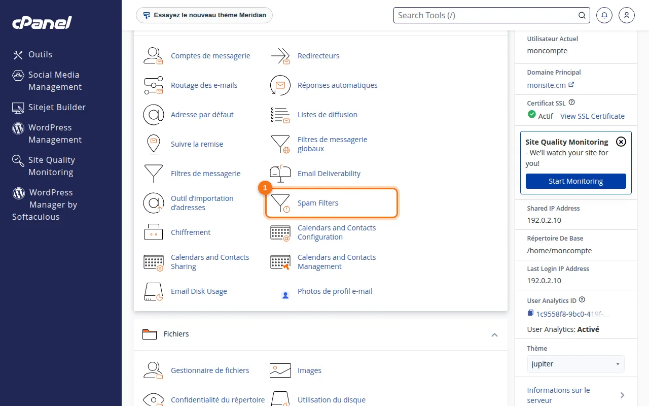 Emplacement de l'outil Spam Filters dans cPanel
