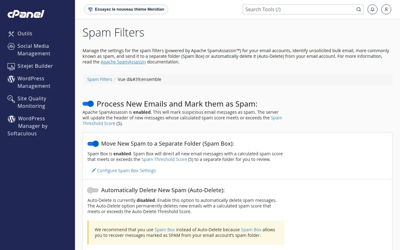 Interface de l'outil Spam Filters dans cPanel