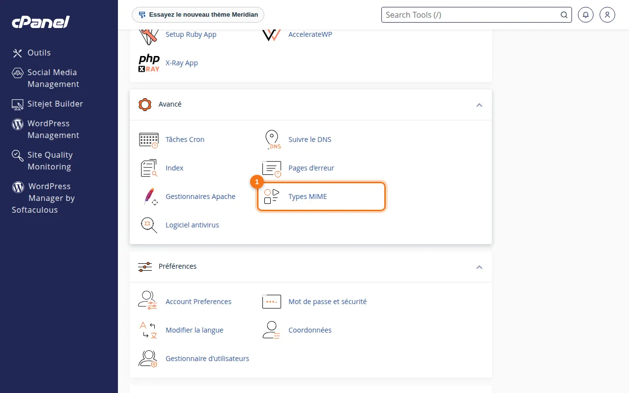 Emplacement de l'outil Types MIME dans cPanel
