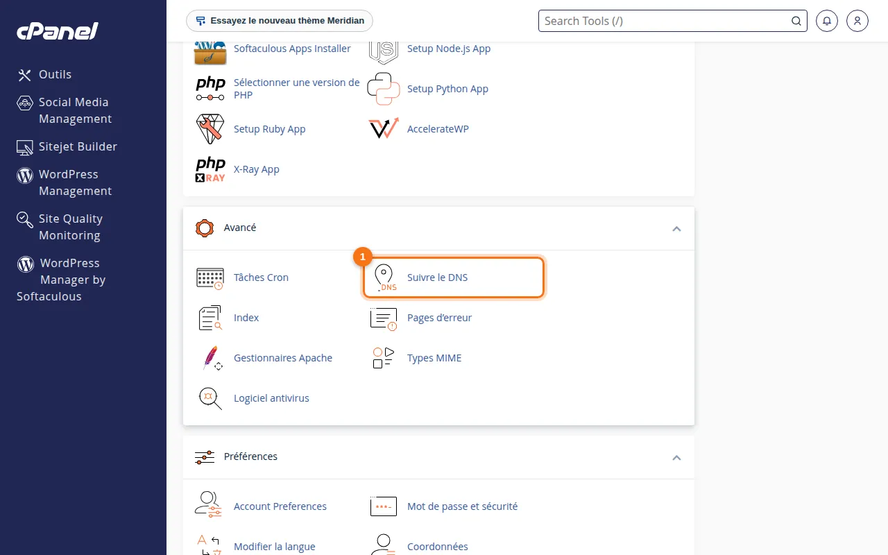 Emplacement de l'outil Suivre le DNS dans cPanel