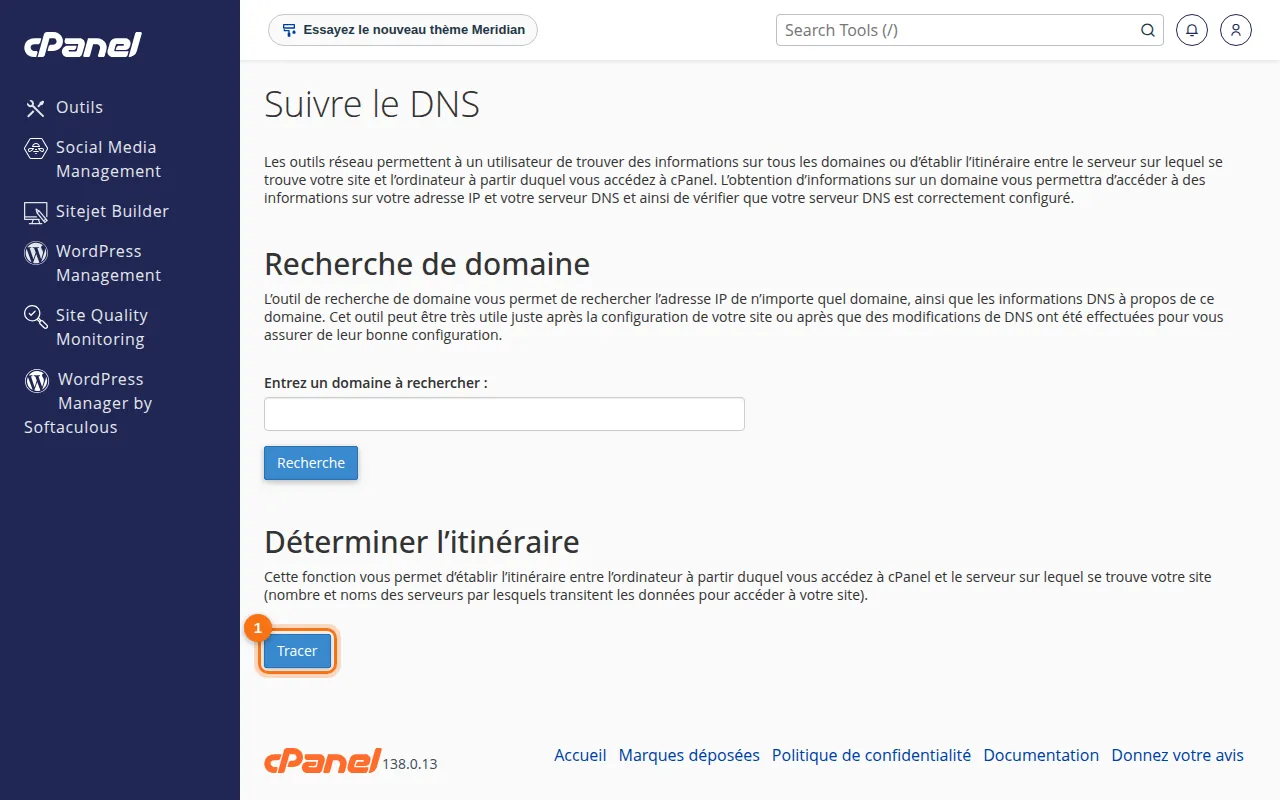Interface de l'outil Suivre le DNS dans cPanel