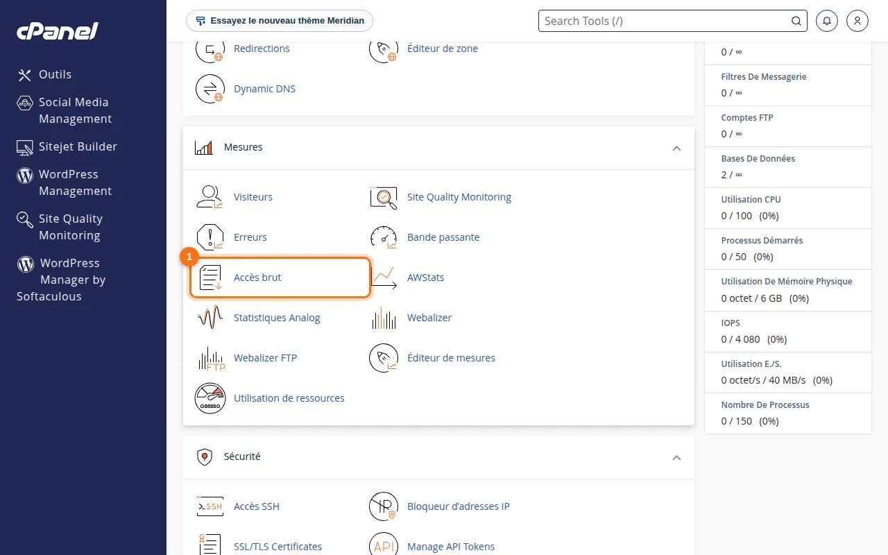 Emplacement de l'outil Accès brut dans cPanel