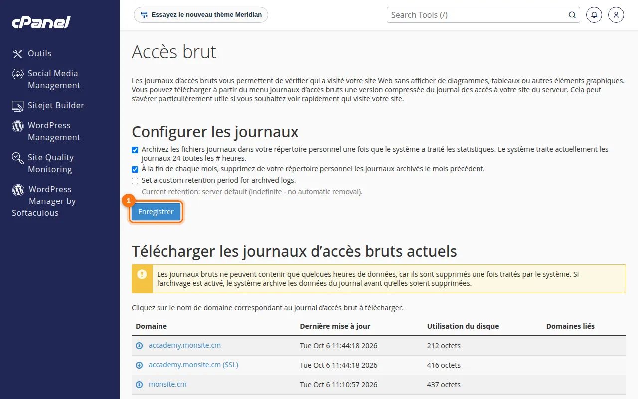 Interface de l'outil Accès brut dans cPanel