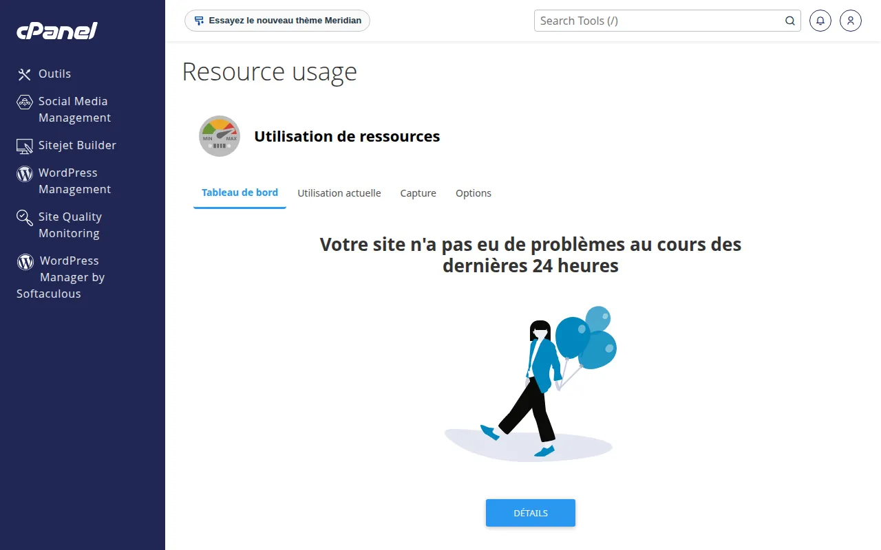 Interface de l'outil Utilisation de ressources dans cPanel