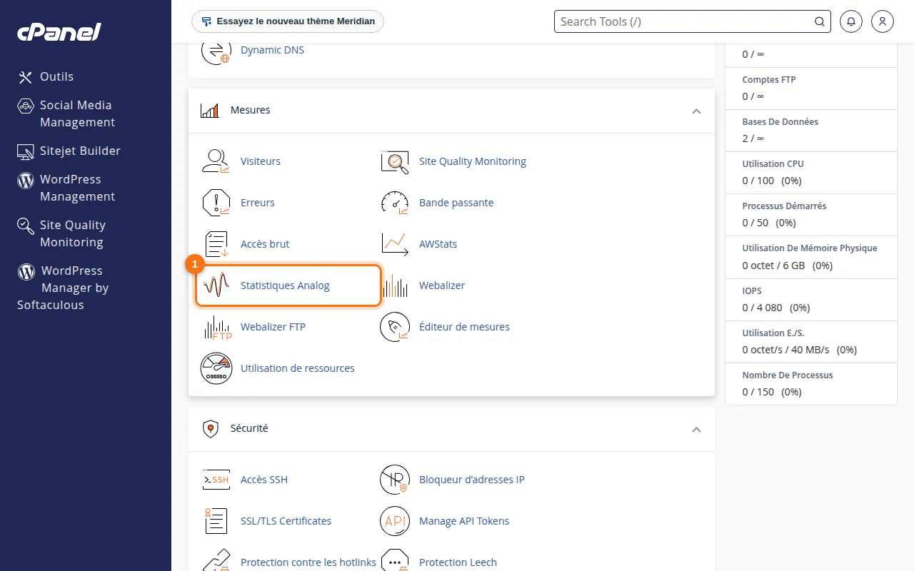 Emplacement de l'outil Statistiques Analog dans cPanel