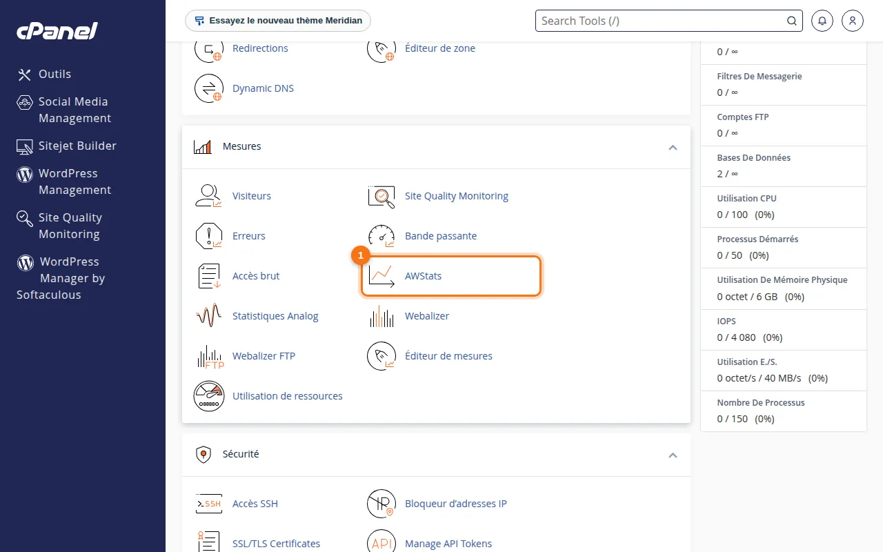 Emplacement de l'outil AWStats dans cPanel