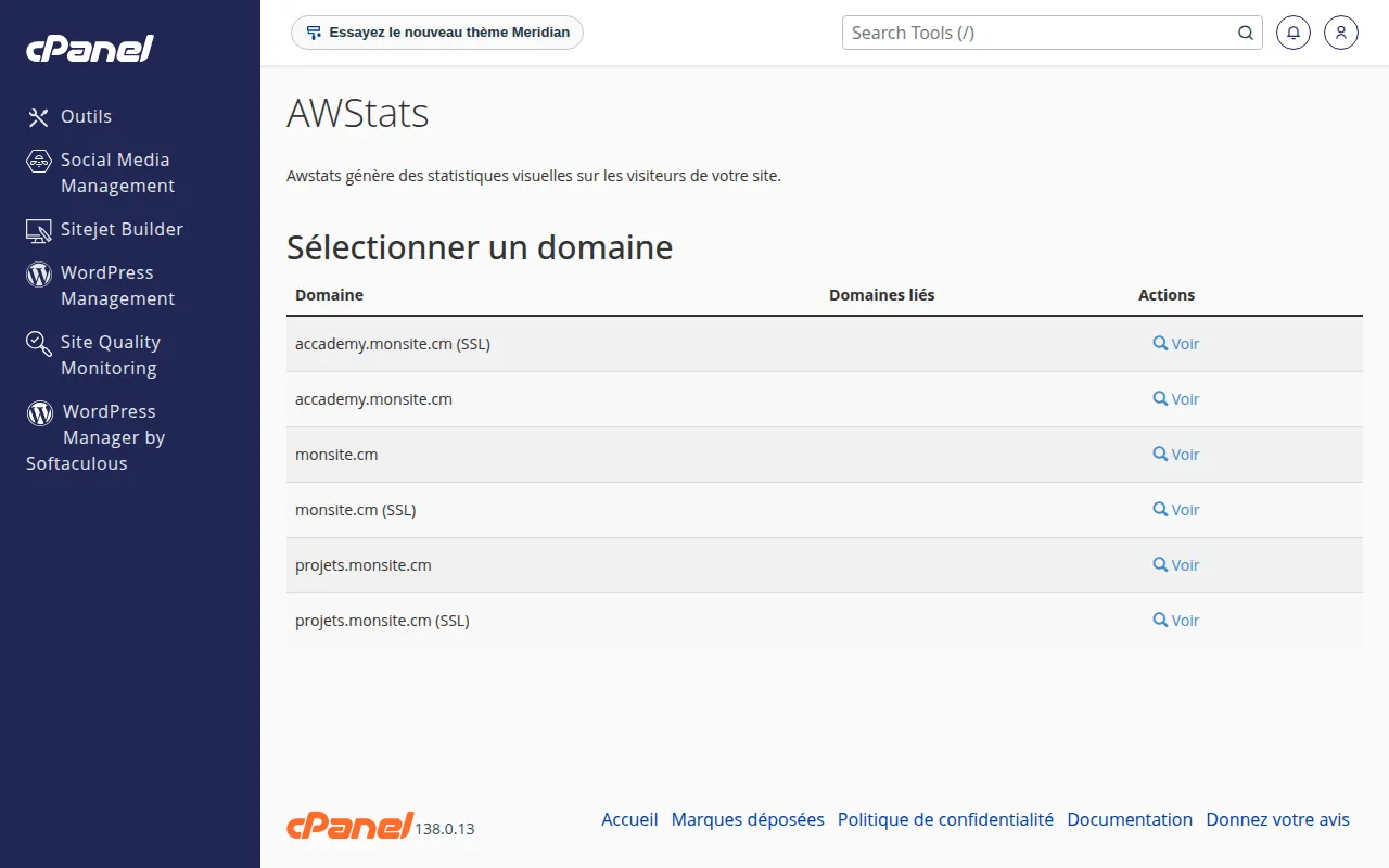 Interface de l'outil AWStats dans cPanel
