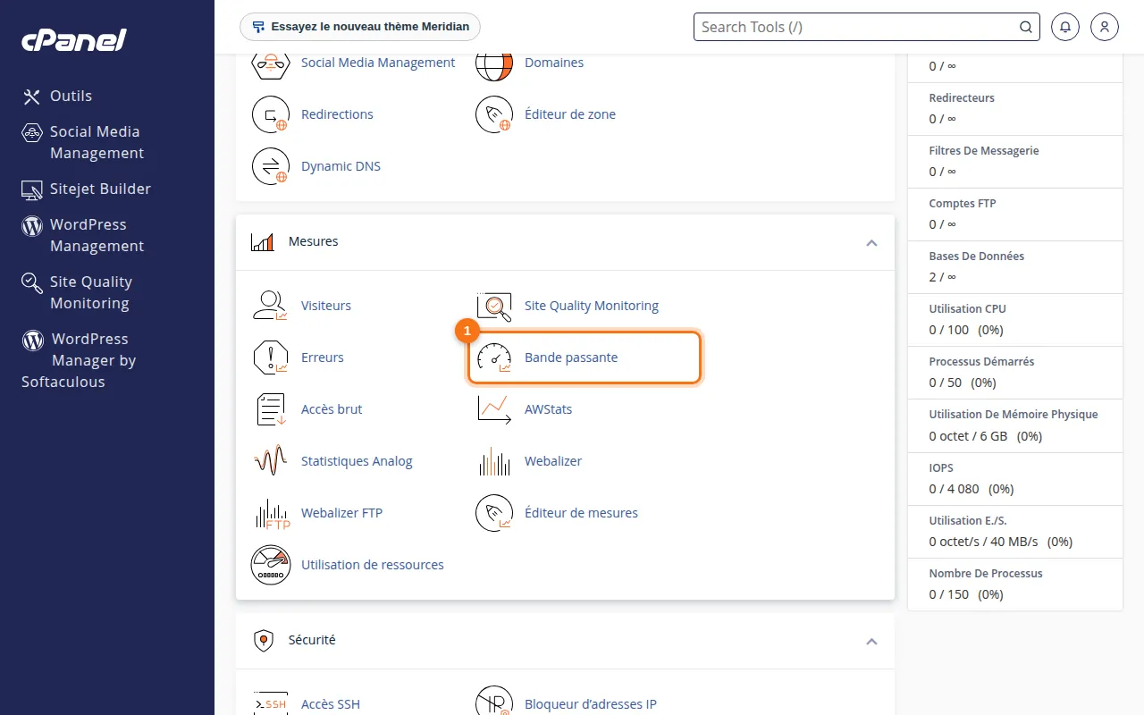 Emplacement de l'outil Bande passante dans cPanel