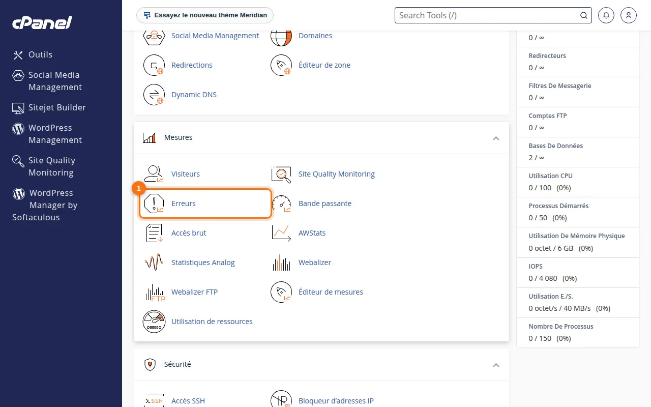 Emplacement de l'outil Erreurs dans cPanel