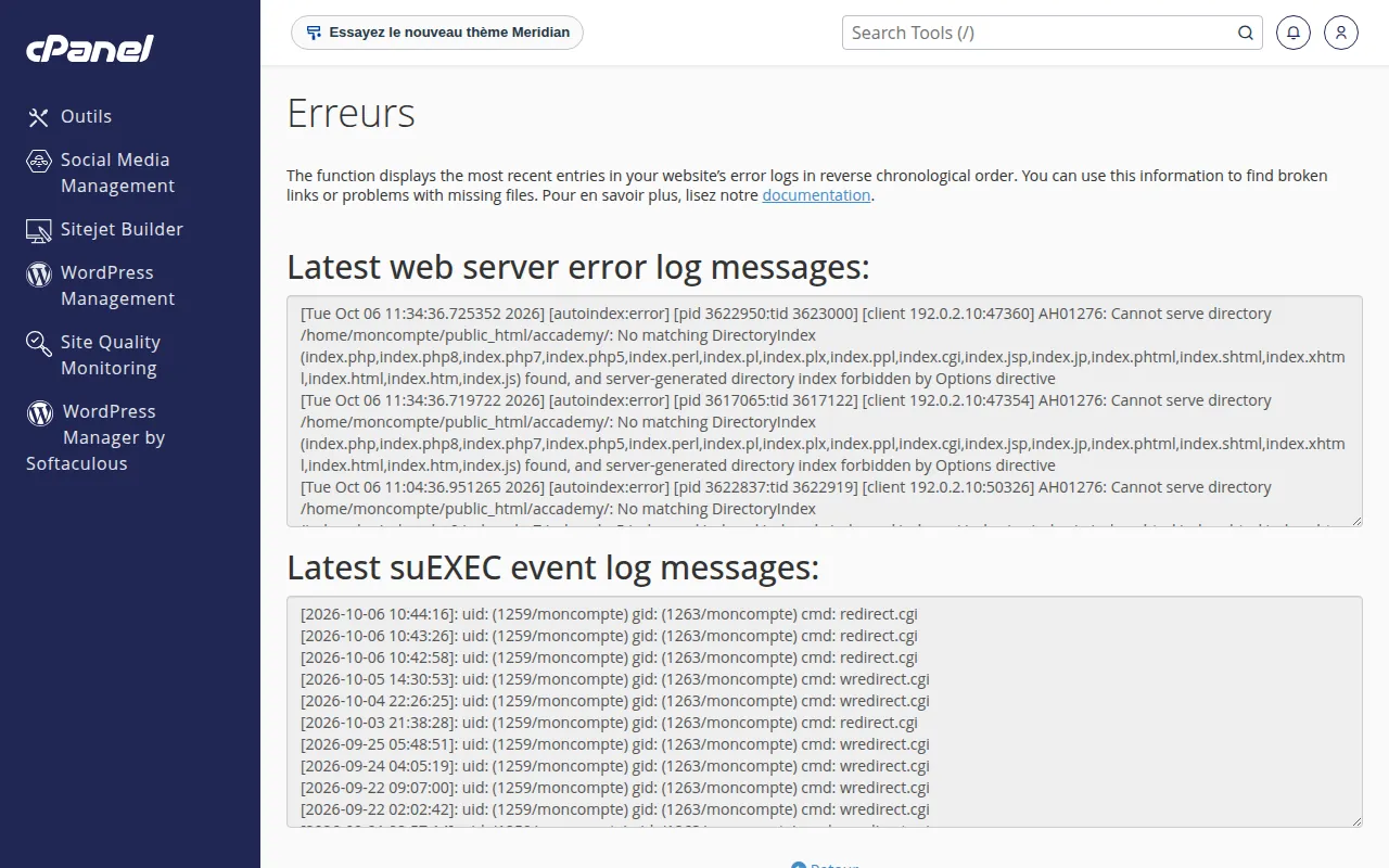 Interface de l'outil Erreurs dans cPanel