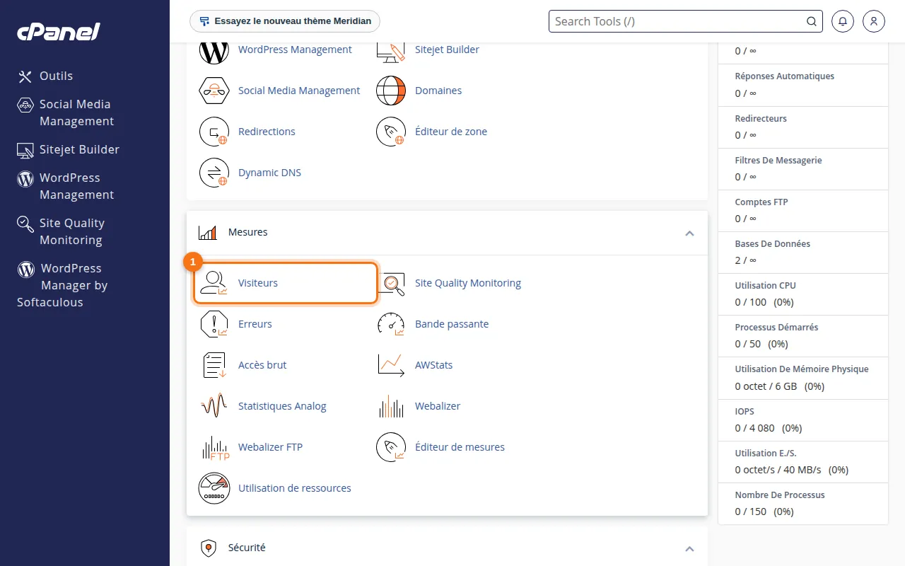 Emplacement de l'outil Visiteurs dans cPanel