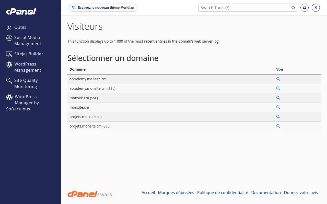 Interface de l'outil Visiteurs dans cPanel