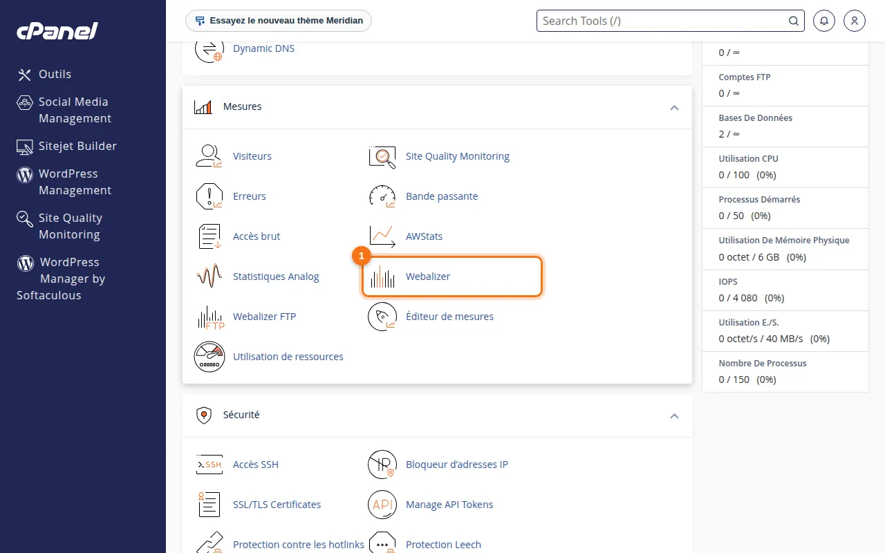 Emplacement de l'outil Webalizer dans cPanel