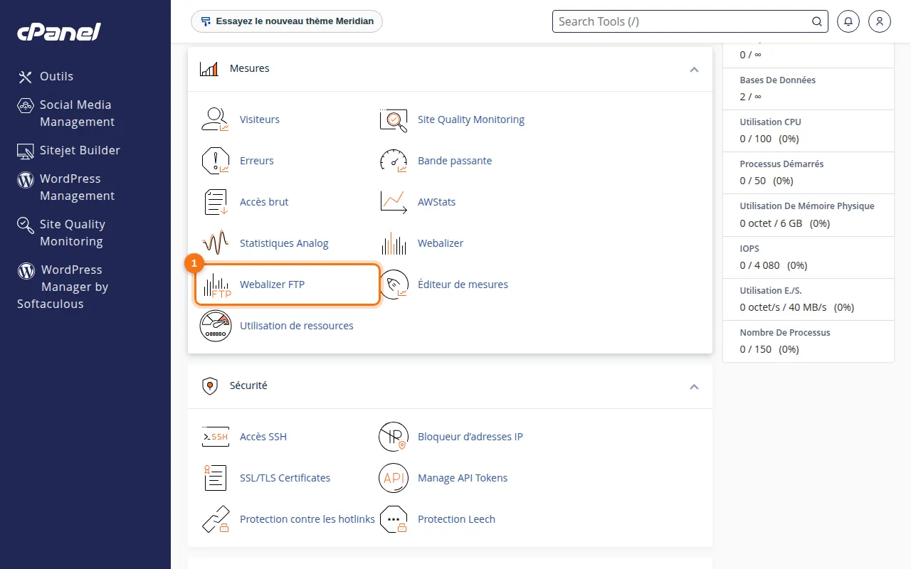 Emplacement de l'outil Webalizer FTP dans cPanel
