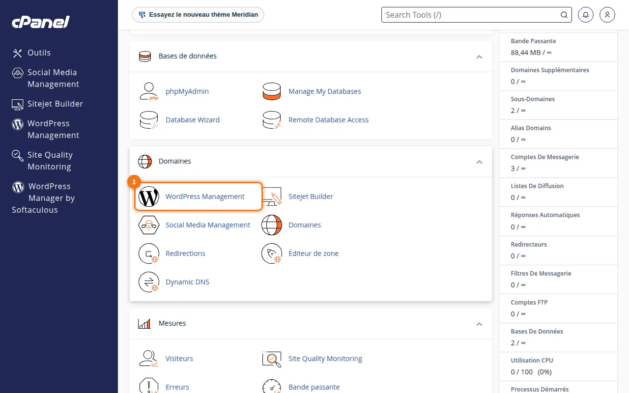 Emplacement de l'outil WordPress Management dans cPanel