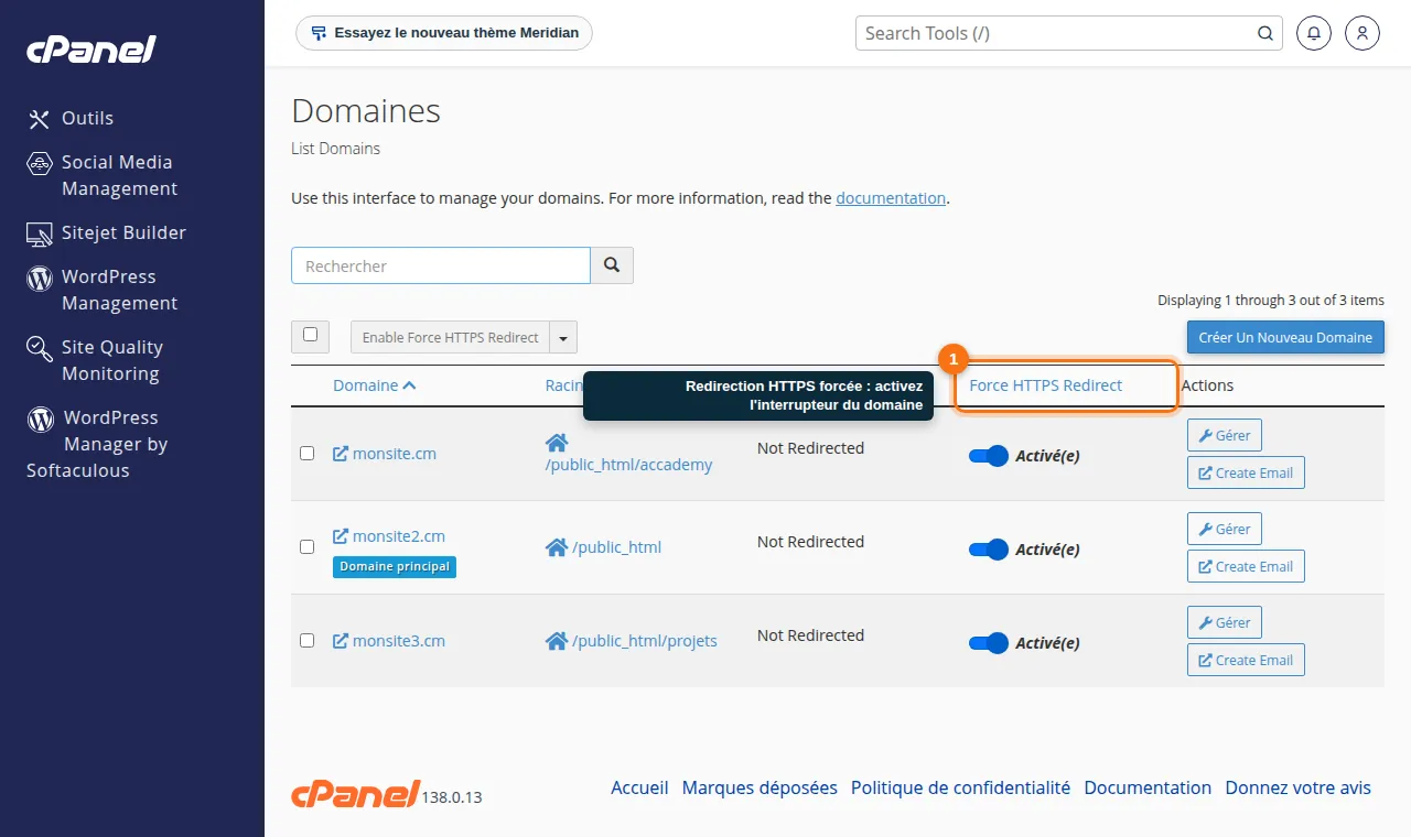 cPanel → Domaines