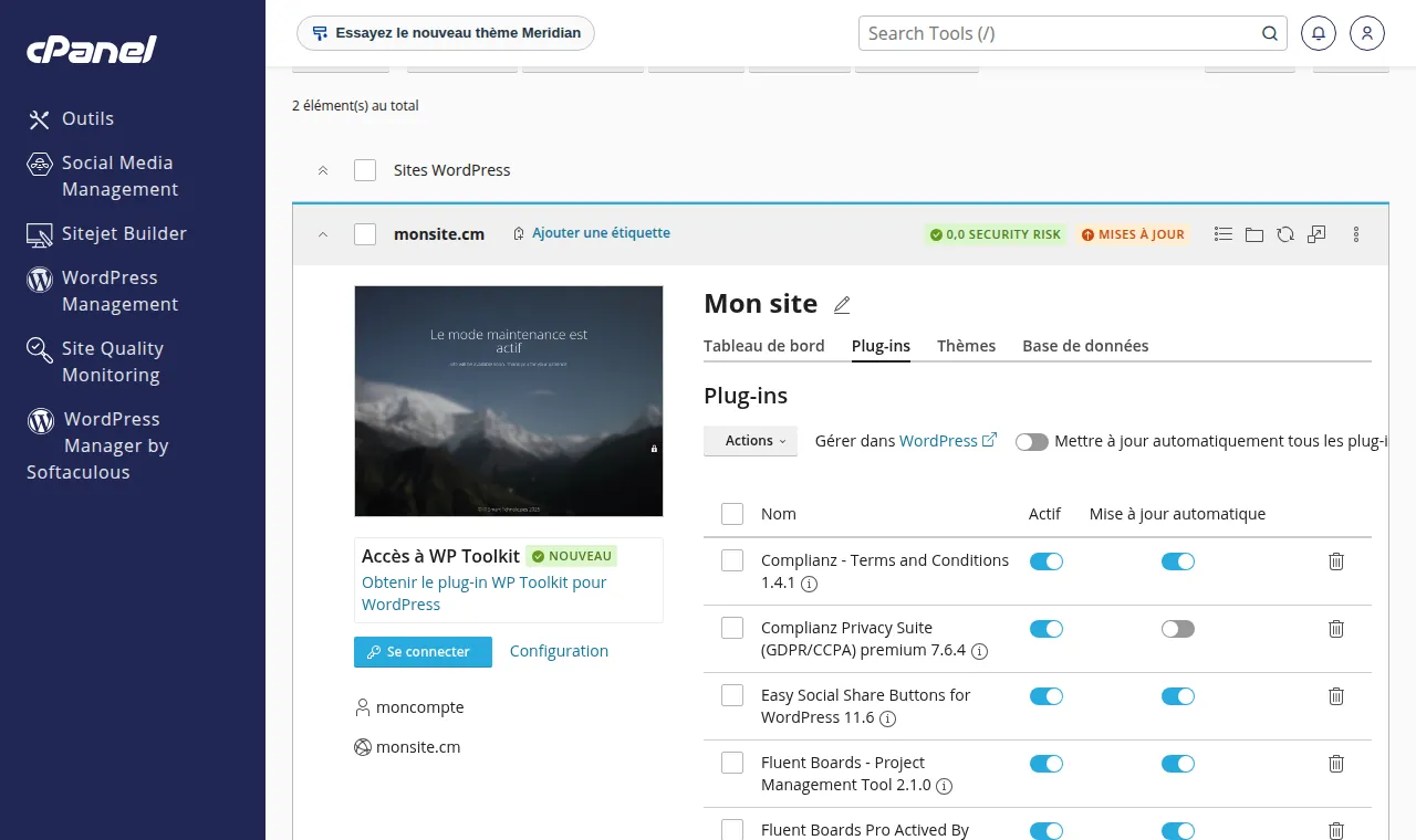 WP Toolkit → Plug-ins