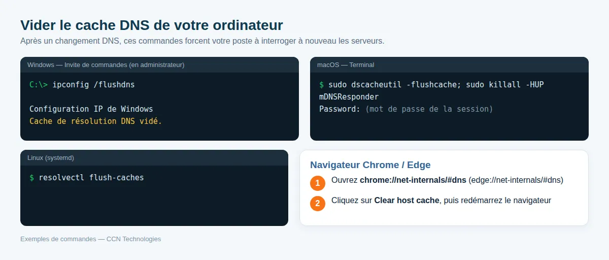 Les commandes pour vider le cache DNS sous Windows, macOS, Linux et dans Chrome.