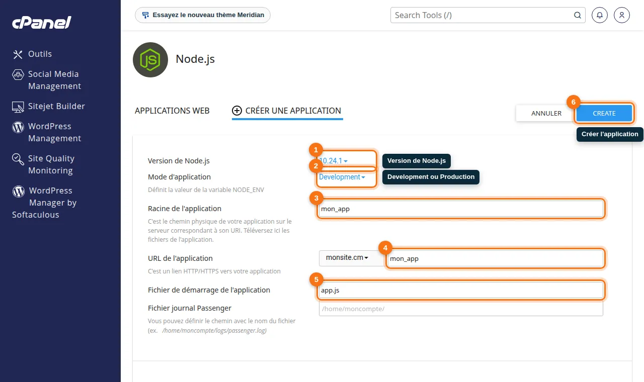 Formulaire : version, mode, racine, URL et fichier de démarrage